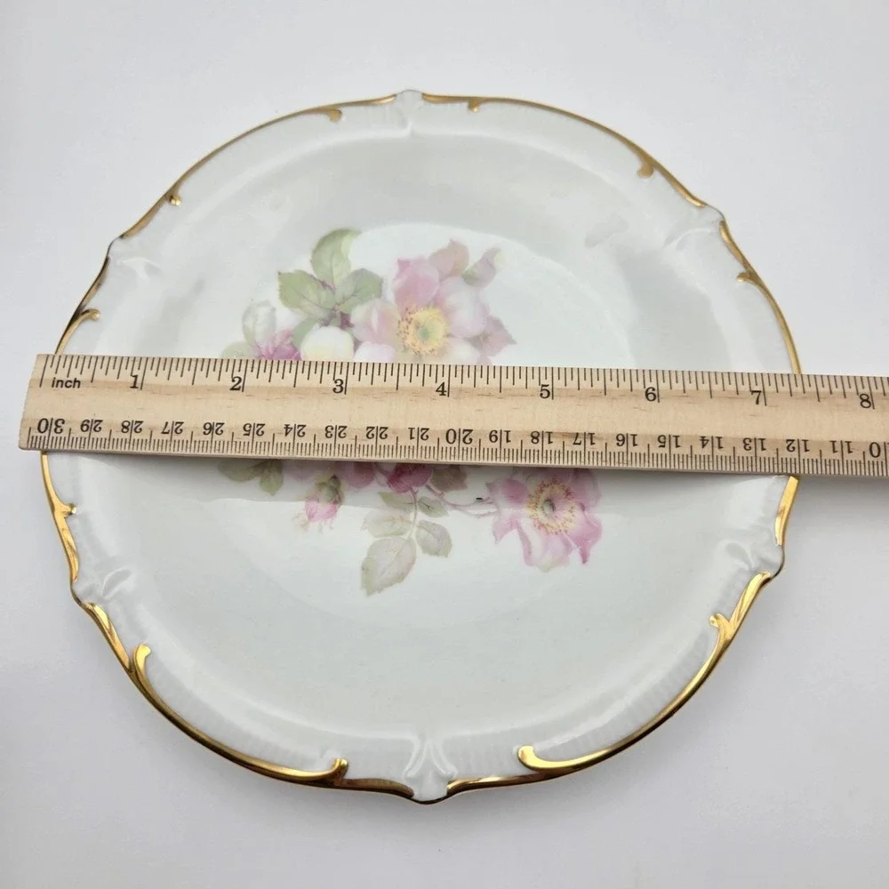 Vintage Bavaria Schumann Arzberg Wild Rose Dessert Plate, Teacup & Saucer Set